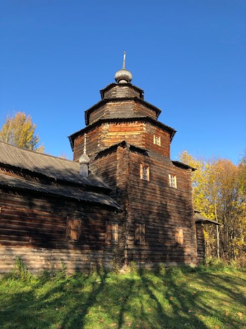 Чудесный октябрьский солнечный день ☀️  #зарисовкинеоченьюногонатуралиста 
#нижегородскиезарисовки..