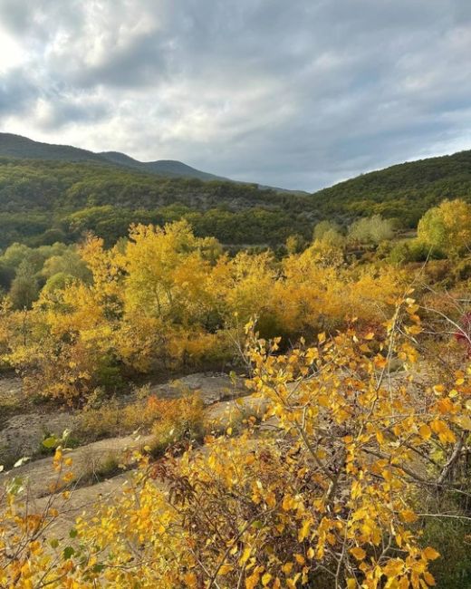 Осень в Абрау-Дюрсо 🍁  Фото..