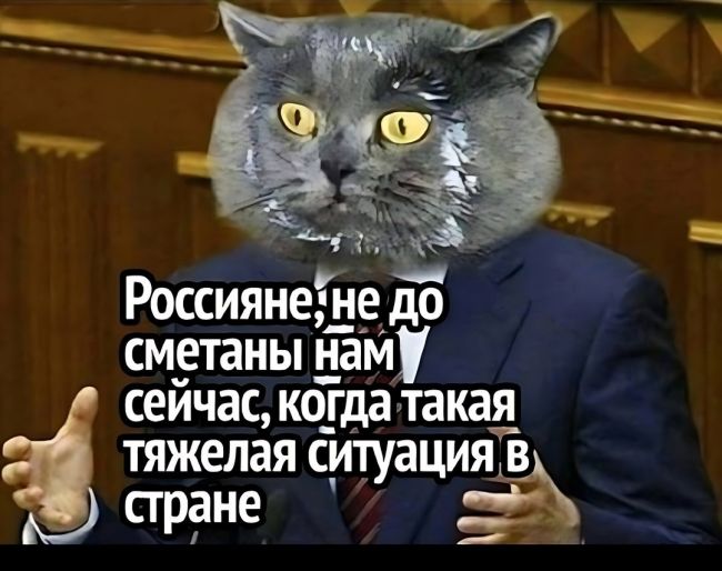 В Кремле назвали «сбалансированным» бюджет, где 41% на военных и силовиков  В Госдуму внесли проект..