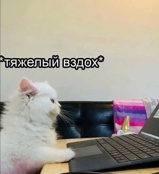 😂Типичный ростовчанин на..