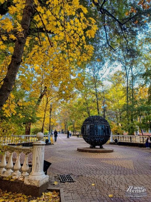 🍂🍁 Золотая осень на Пушкинской. Красиво же, согласитесь..