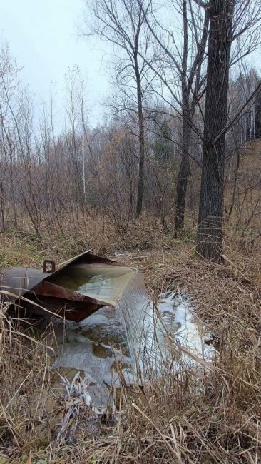 Житель микрорайона «Весенний» нашёл в лесу Ключ-Камышенского плато рядом с местом сброса загрязнённой воды..