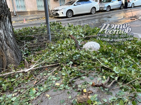 🌳 Часть дерева рухнула на грузовик на Халтуринском, 72. Его уже..