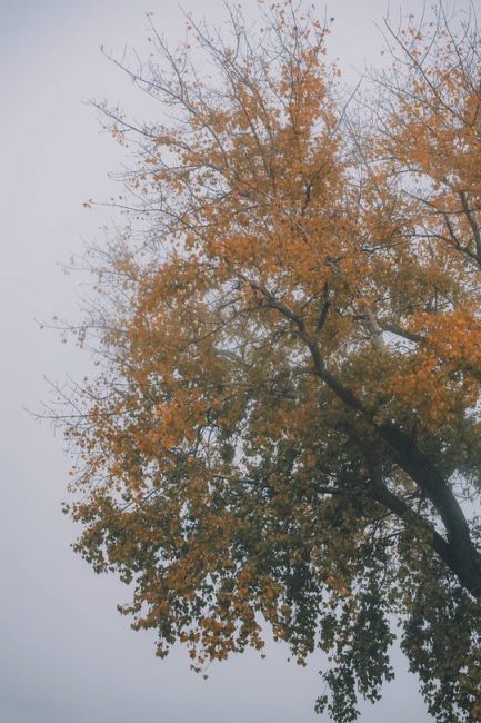 🌫 Утро в Батайске  Фото: Артём..