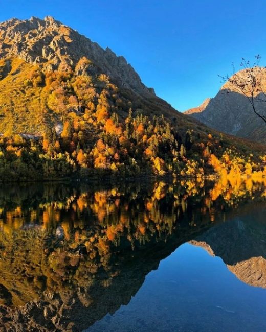 Осень на озере Кардывач 🧡🍂  Координаты: 43.572483, 40.628519  Фото: ..