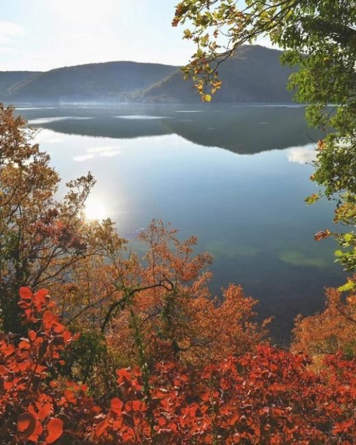 Осень пришла в Абрау-Дюрсо 🍂  За фото спасибо..