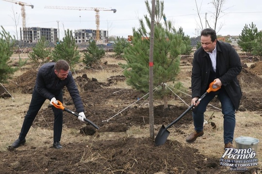 🌳 Новый парк заложили на территории бывшего ростовского аэропорта. Уже через несколько лет здесь будет..