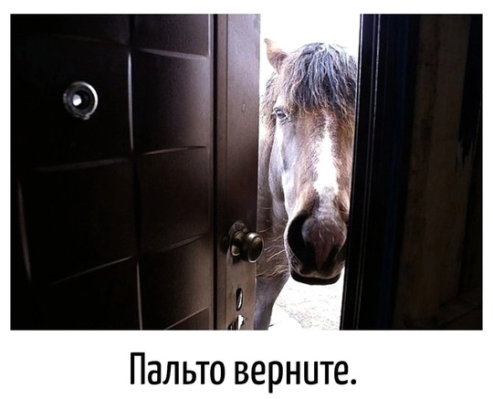 🗣Соскучились по снегу? Стало известно, что он вновь выпадет в Нижнем Новгороде 31 октября. 
По данным..