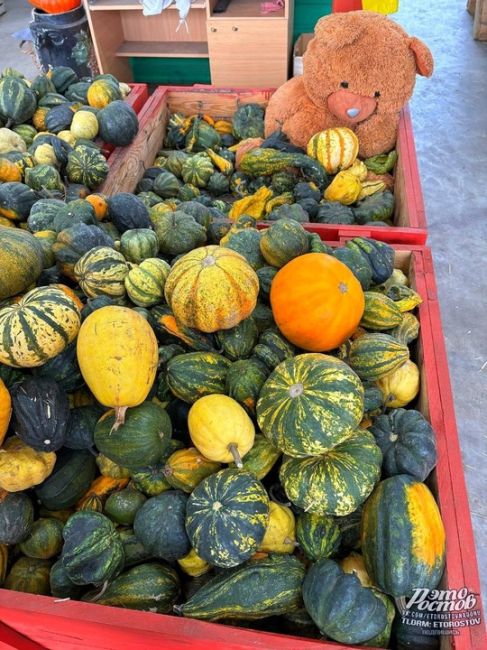 🎃🍉 Тыквенно-арзбузный рай в..