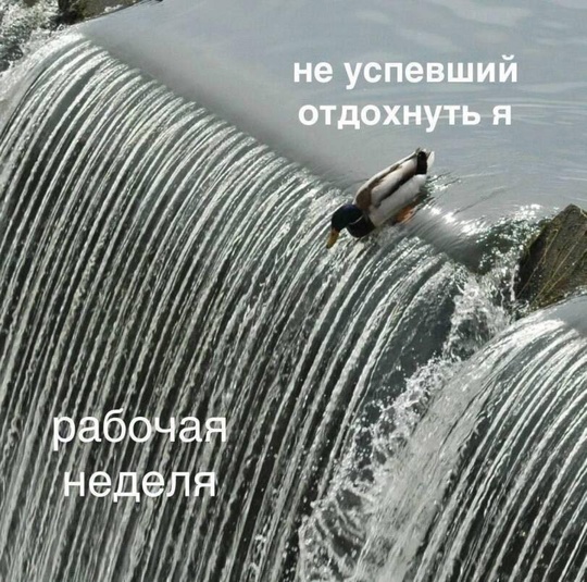 В России стартовала шестидневная рабочая неделя перед праздниками  С 28 октября по 2 ноября в России началась..