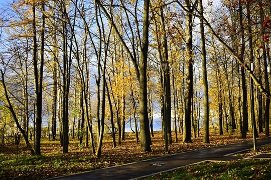 Нижний Новгород, парк "Швейцария". Прощальная улыбка октября💙  фото От Елены..