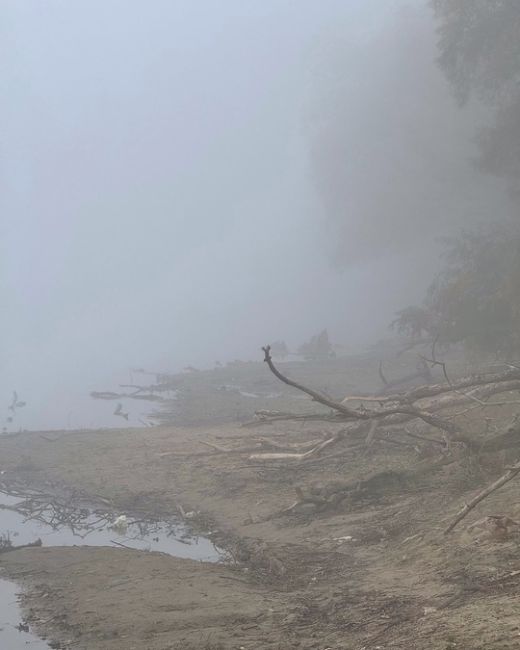 Пока вы спали, на город опустился туман 🌫️  Фото..