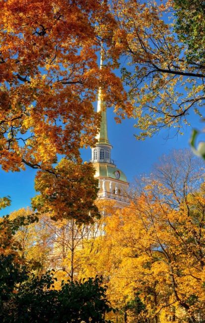 🍁Золотая осень в Петербурге..