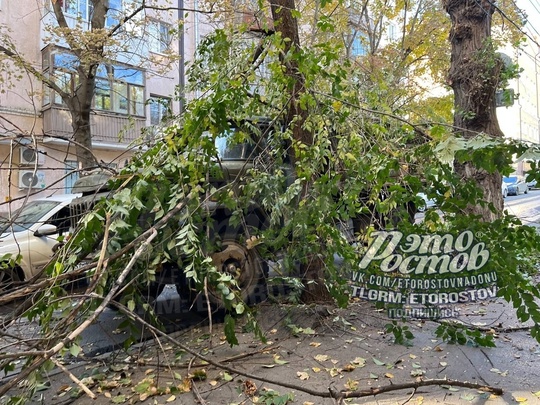 🌳 Часть дерева рухнула на грузовик на Халтуринском, 72. Его уже..