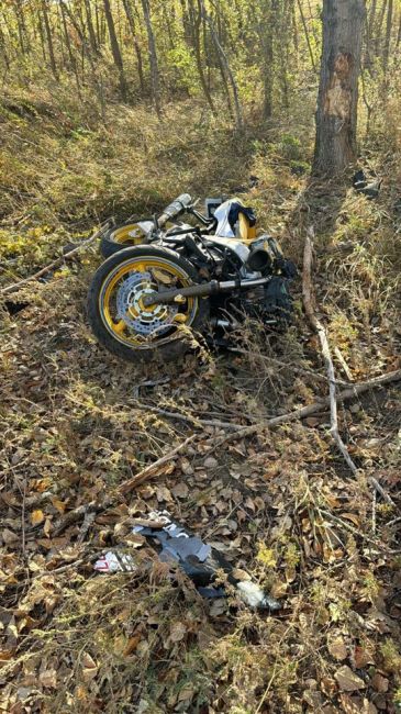 В Белокалитвинском районе произошло смертельно ДТП. 
Авария произошла сегодня утром, в 7:45, на автомобильной..