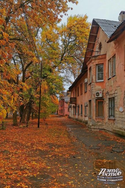 📷🍁 Погожий осенний день в..