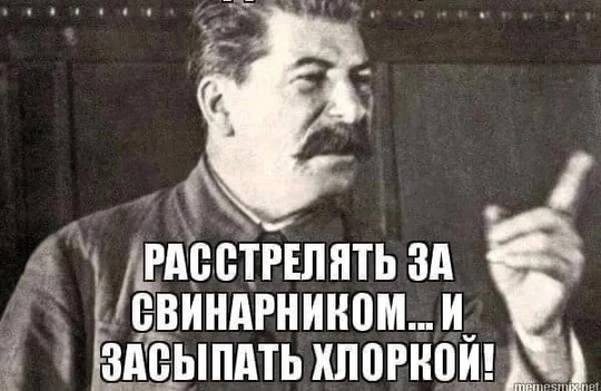 😡 Мужчина избивает свою собаку на улице 3-Арзамасской!  Жители улицы 3-Арзамасской, 29, сообщают о регулярных..