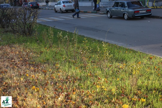 📝🌳🚜 
Мы вновь посетили сквер им. Валерия Иконникова. 
Напомним, летом в нем проходили работы по..