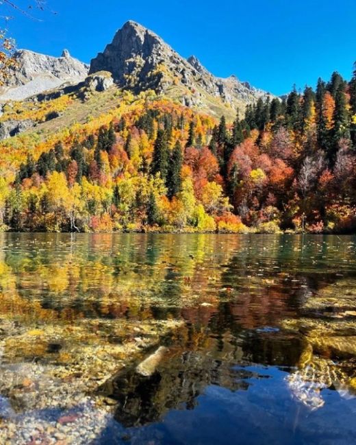 Осень на озере Кардывач 🧡🍂  Координаты: 43.572483, 40.628519  Фото: ..