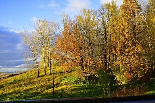 Нижний Новгород, парк "Швейцария". Прощальная улыбка октября💙  фото От Елены..