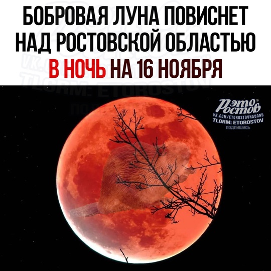 🌚 Бобровая Луна повиснет над Россией в ночь на 16 ноября. 
Это полнолуние станет еще и мощным суперлунием —..