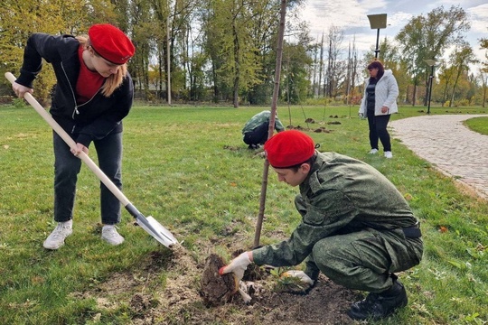 Сегодня на Дону проходит традиционный осенний День древонасаждений.  В парках, скверах, возле обелисков, на..