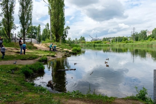 Попечительский совет реки Левинки проводит 28 сентября третью осеннюю акцию на реке. На этот раз с участием..