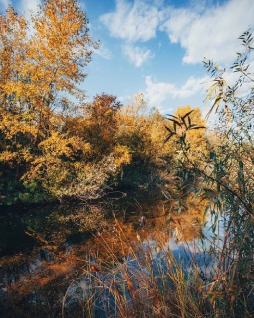 Октябрь на Кубани🍂🍁🍂  Фото:..