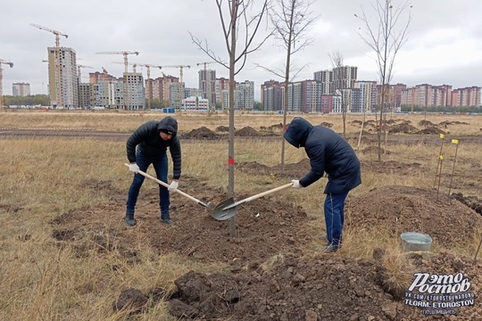 🌳 Новый парк заложили на территории бывшего ростовского аэропорта. Уже через несколько лет здесь будет..