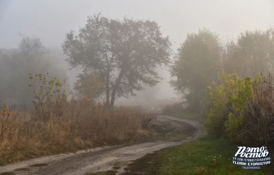 🕸 Утро туманное в Ростовской области..