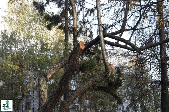 📝🌳🚜 
Мы вновь посетили сквер им. Валерия Иконникова. 
Напомним, летом в нем проходили работы по..