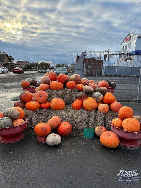 🎃🍉 Тыквенно-арзбузный рай в..