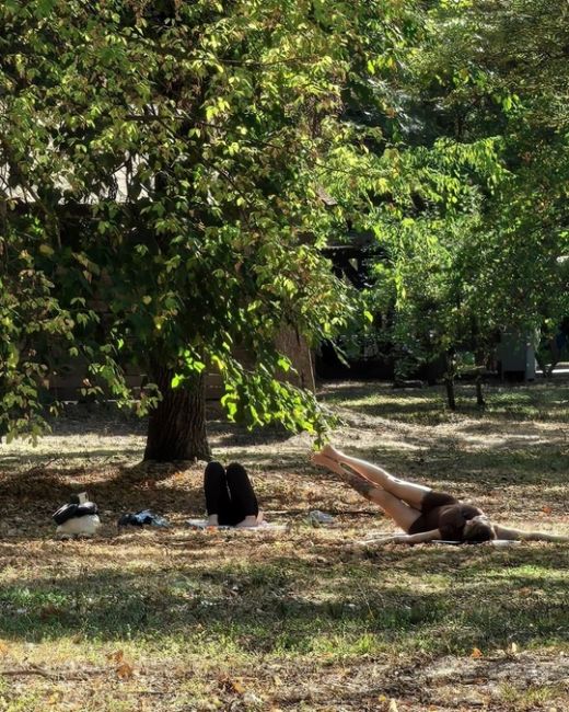 Первые выходные октября в Чистяковской роще ☀️🐿️  Фото..