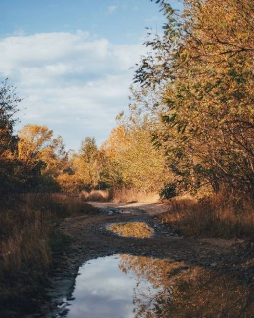 Октябрь на Кубани🍂🍁🍂  Фото:..