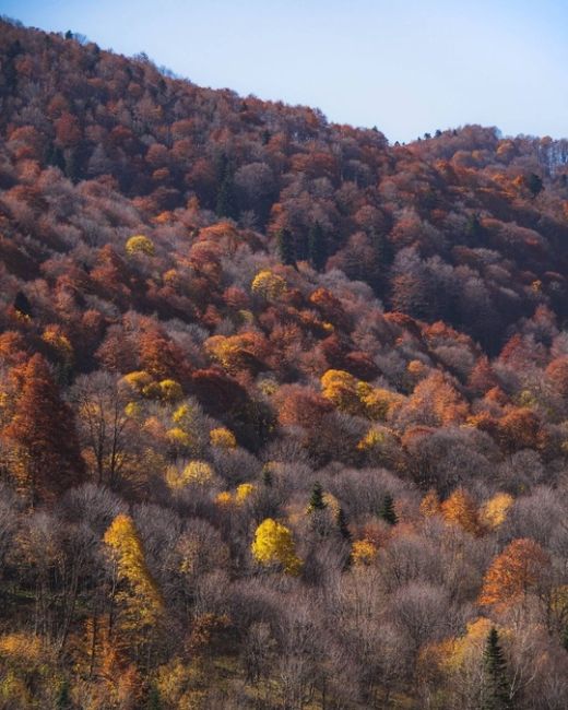 🍂🍁Самая красивая дорога Краснодарского края и Адыгеи  Просто садитесь в машину, вбивайте в навигатор..