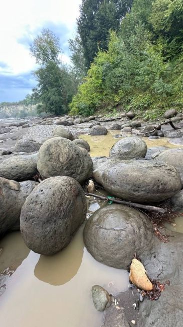 Пишет krd_exp:  «🐚 Долина аммонитов в Адыгее. Воды уже много, лучше ездить в..