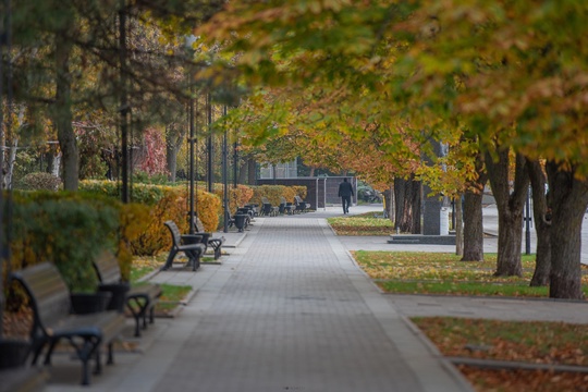 🍁 Красивый Ростов от нашего..