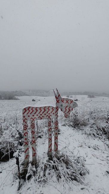 ☃Зима наступила в Ленобласти 
Снег пошел в Подпорожском районе и..