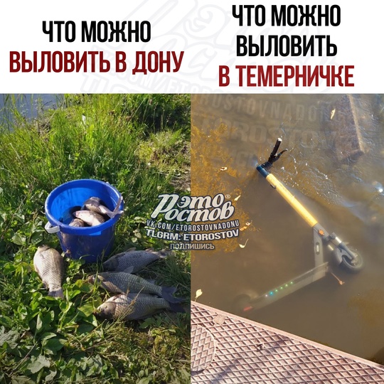 Уловы разные бывают..