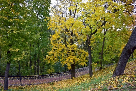 осень в Александровском..