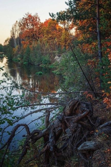 💙Сказочный осенний берег Узолы  📸Ян..