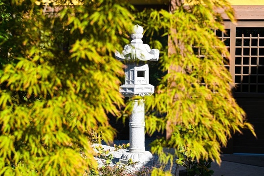 Доброго утра! ☀ Яркие детали осеннего Японского сада  🌳🏯⛩️  Фото: пресс-служба..