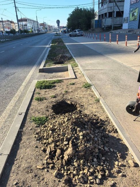 Молодые деревья начали высаживать на улице Московской в Краснодаре на участке от Жигулёвской до Петра..