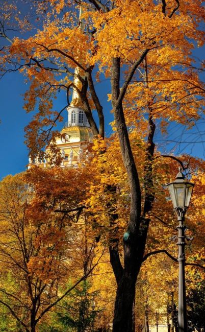 🍁Золотая осень в Петербурге..