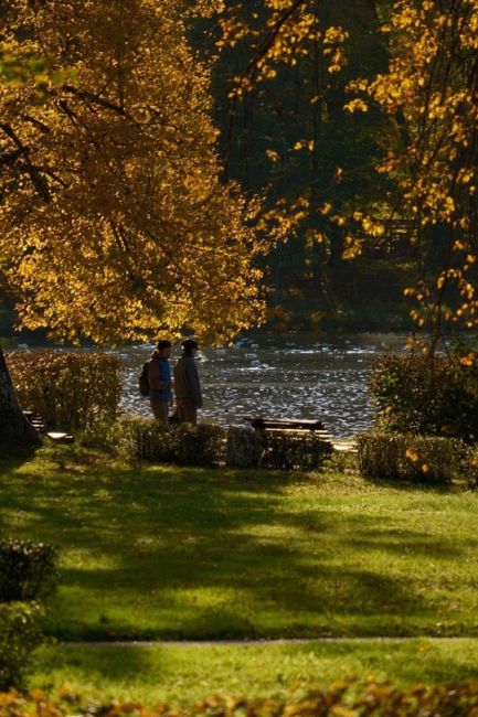 🍂 Любуемся осенью в Дворцовом..