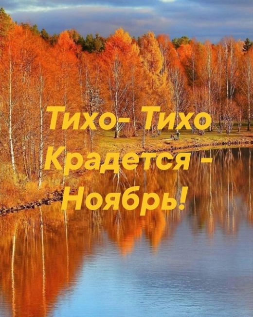 🌙Ηοчнοй чат Ροcтοвa🌙  Кто-то спит, а..