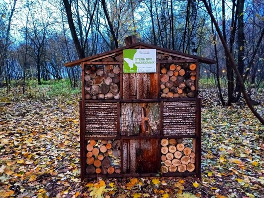 Осенний Нижний💙  фото: Жанна..