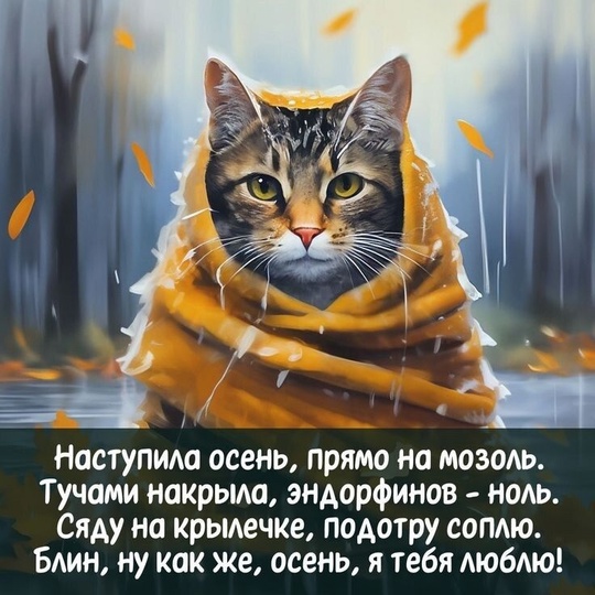 Один день из осеннего..