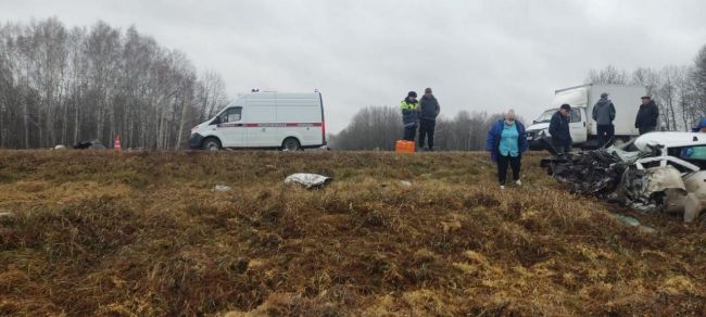 В Кочковском районе произошло смертельное ДТП  В результате столкновения автомобилей погиб водитель..