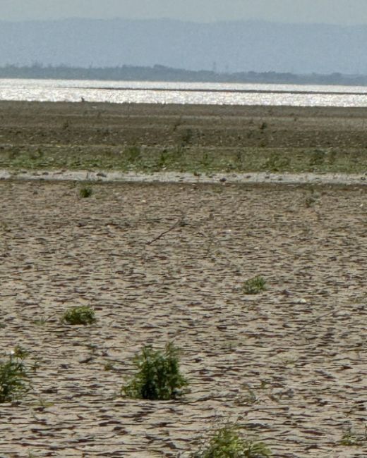 Пустыня Сахара скажете?!
Да нет.
Просто Краснодарское  водохранилище
(Кубанское море) сейчас так..